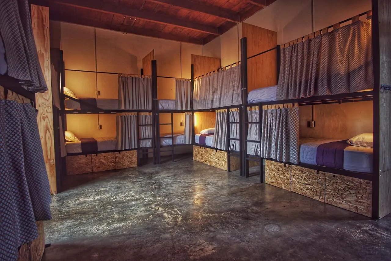Lemon Tree Hostel Antigua