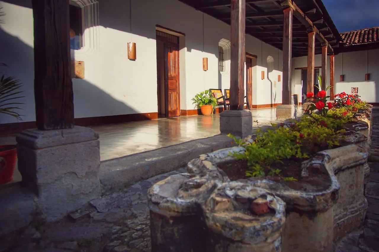 Lemon Tree Hostel Antigua
