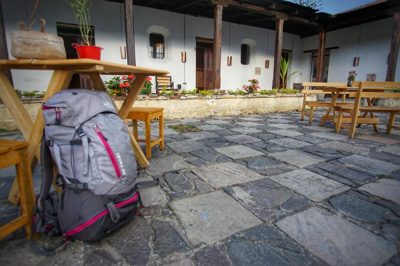 Lemon Tree Hostel Antigua