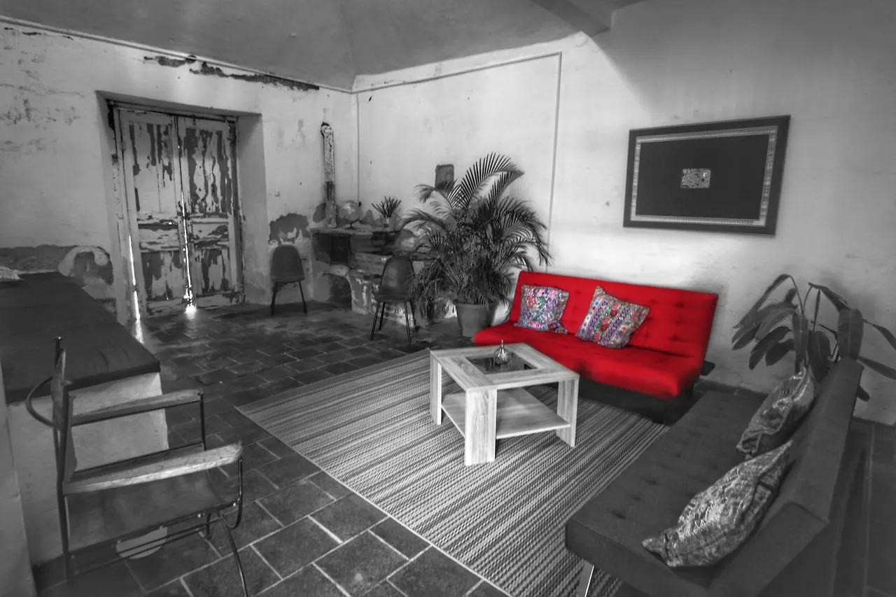 Lemon Tree Hostel Antigua