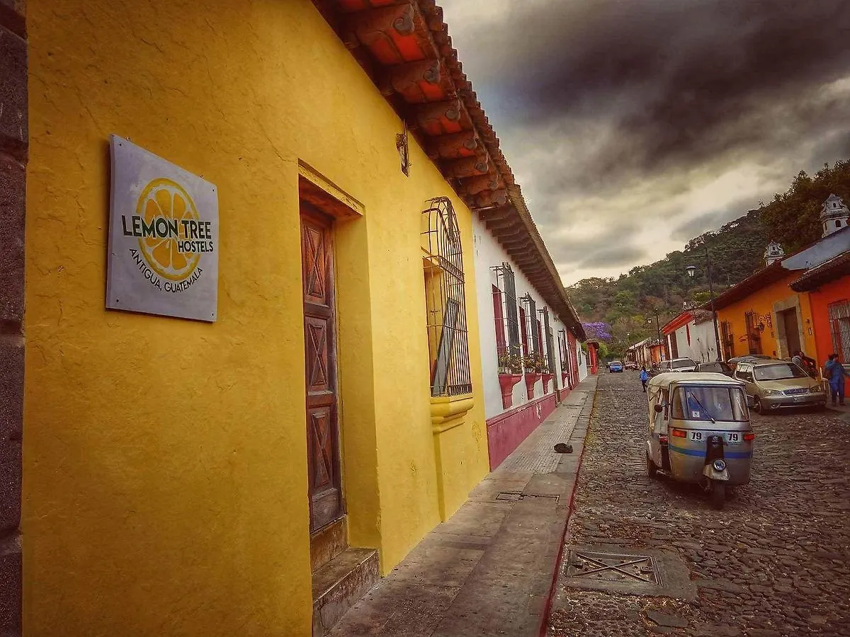 Lemon Tree Hostel Antigua Guatemala