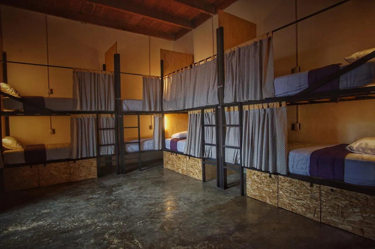 Lemon Tree Hostel Antigua