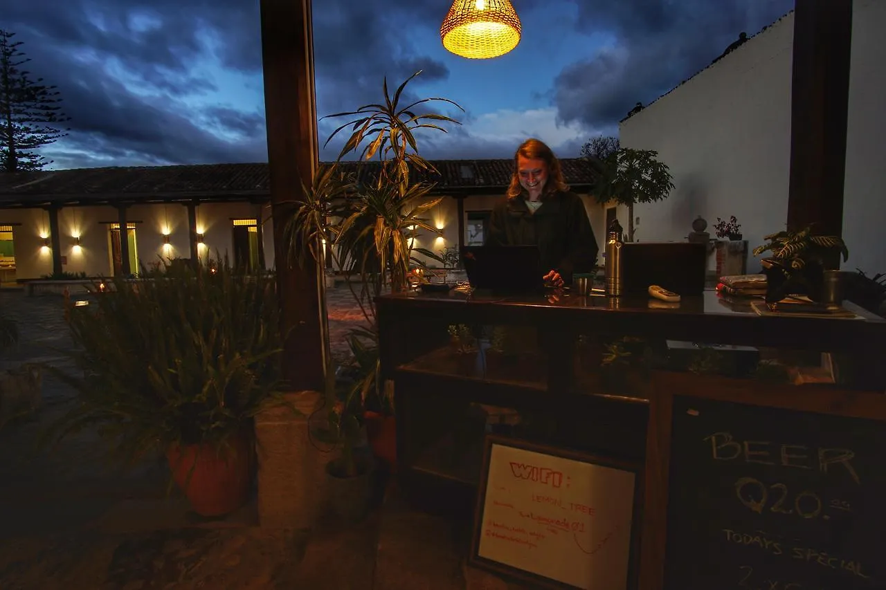 Lemon Tree Hostel Antigua Guatemala