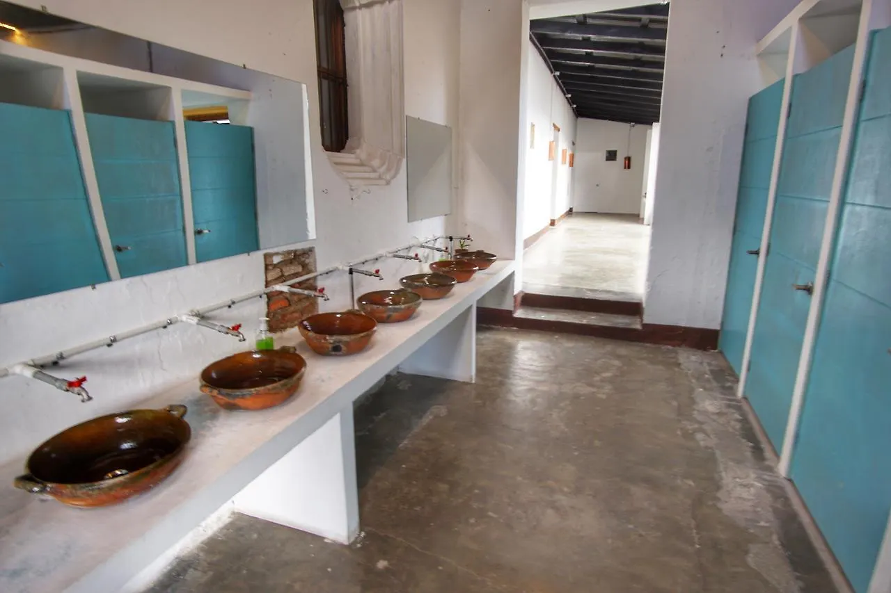 Lemon Tree Hostel Antigua