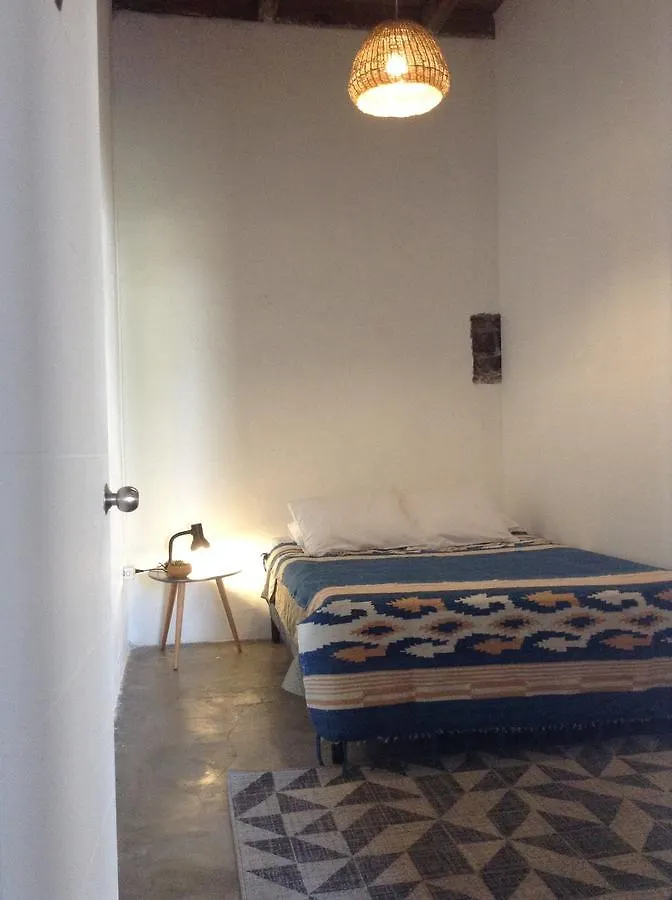 Lemon Tree Hostel Antigua