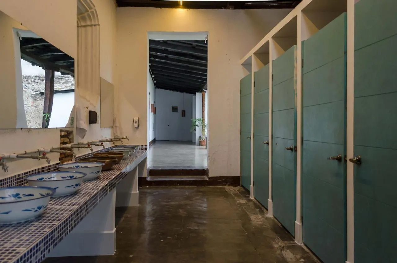 Lemon Tree Hostel Antigua